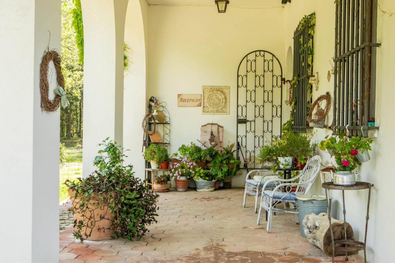 مونتيزبيرتولي Villa Albertina المظهر الخارجي الصورة